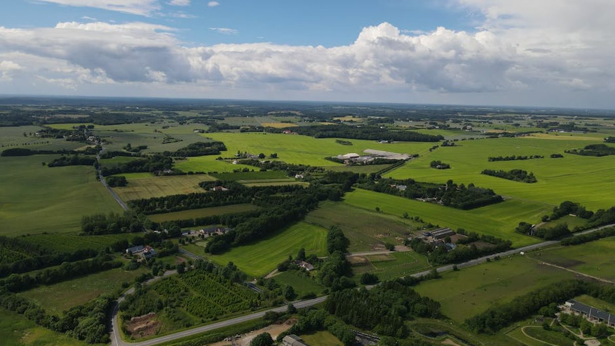 Selling Land For Cash: Finding A Buyer Regardless of Location Or Condition