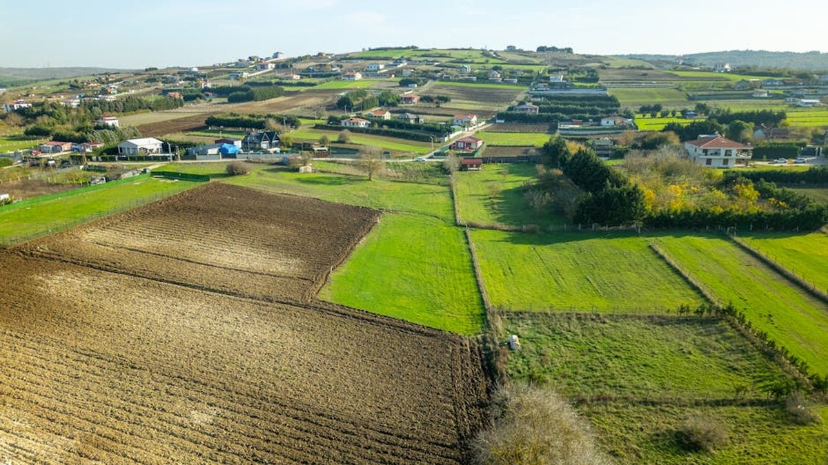 Selling Vacant Land In Texas: Experts Explain Common Problems & What To Do