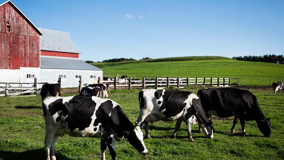 US Slams Door on Canadian Dairy, Booze and Bikes as Trade Fight Deepens