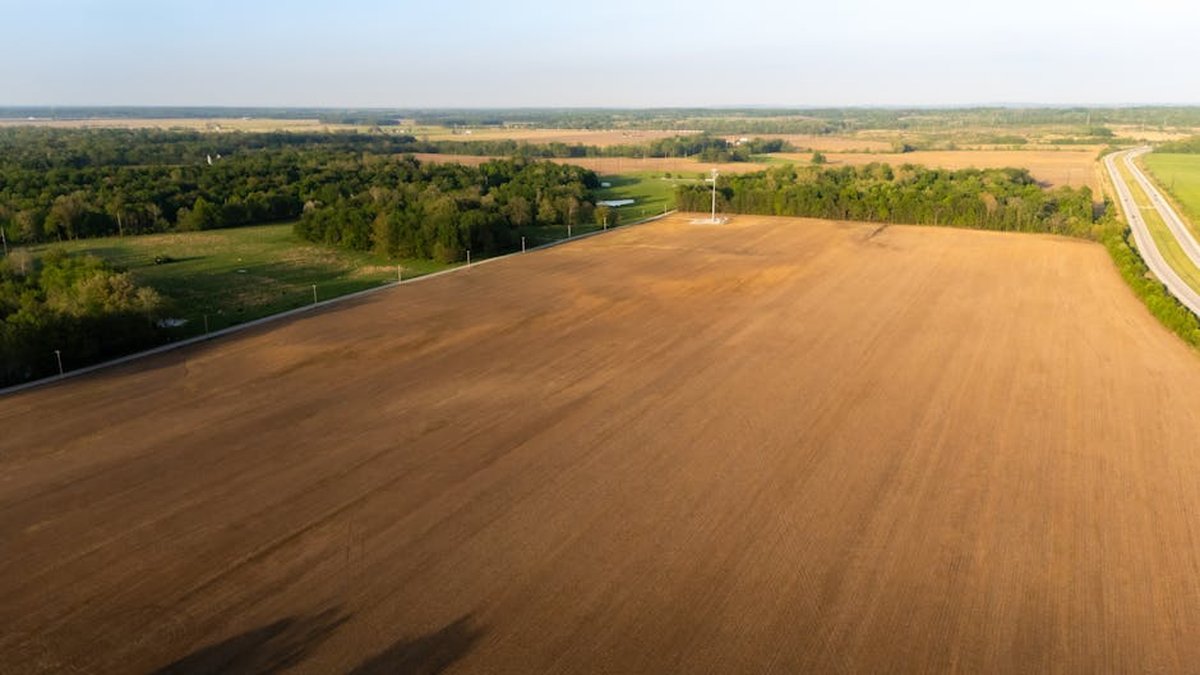 US Southeast Cash Offer Program For Vacant Land In Tax Arrears Announced