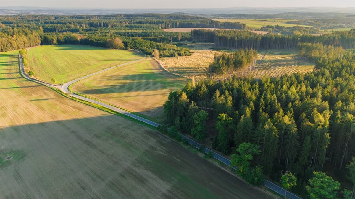 What Is Landlocked Property And Can You Sell Land With No Road Access?
