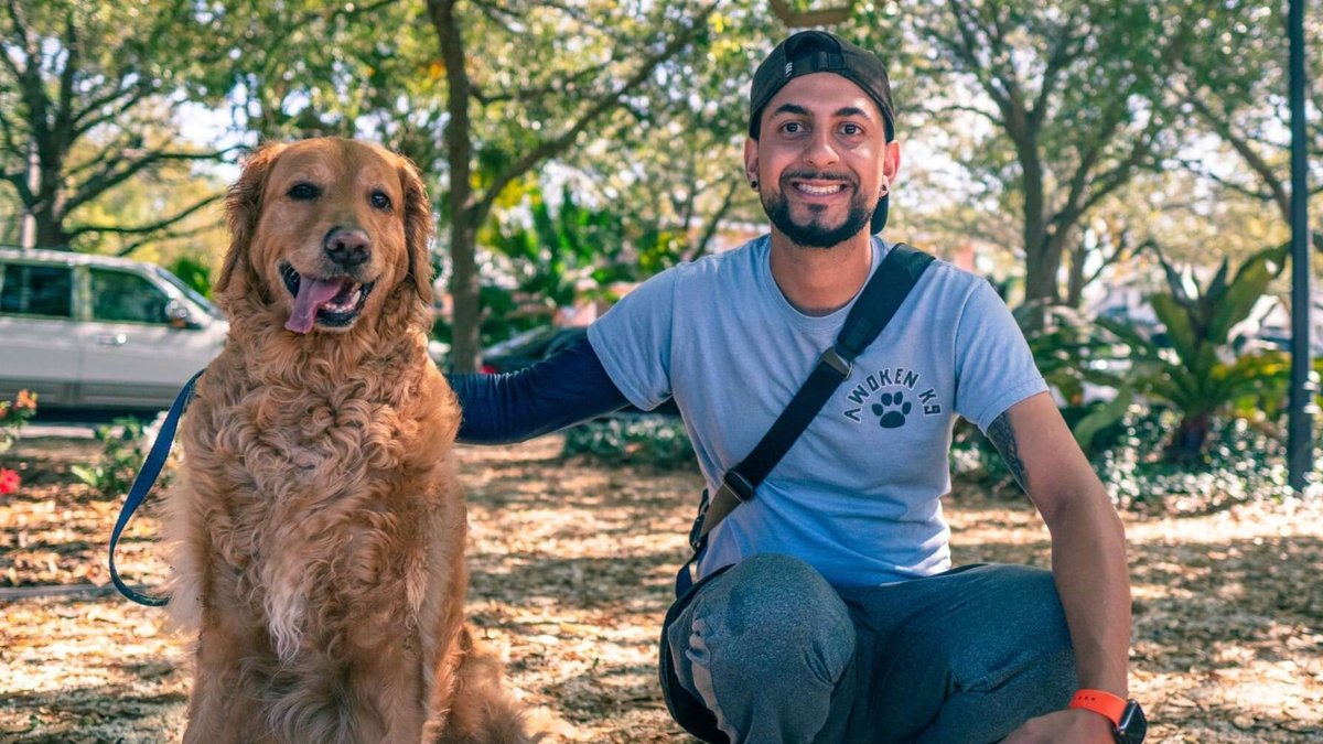 Why Online Dog Training Actually Outperforms In-Person Classes