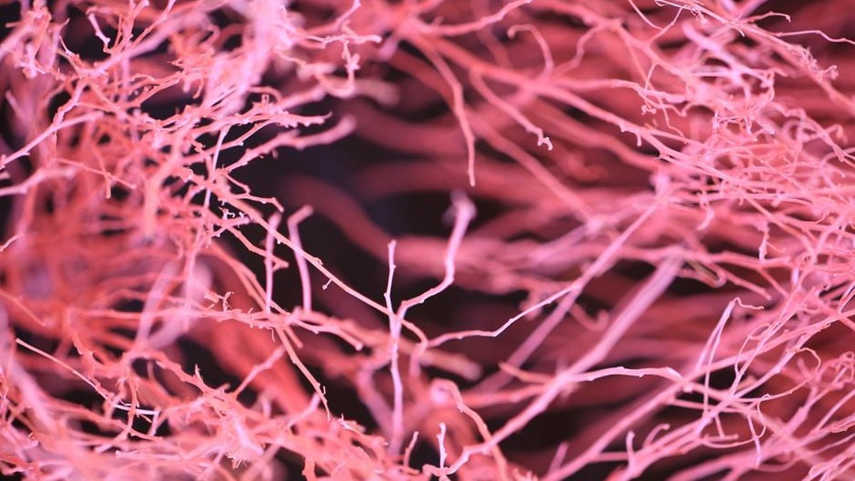 Dysregulated Nervous System Reversal Strategies & Support Resource Announced