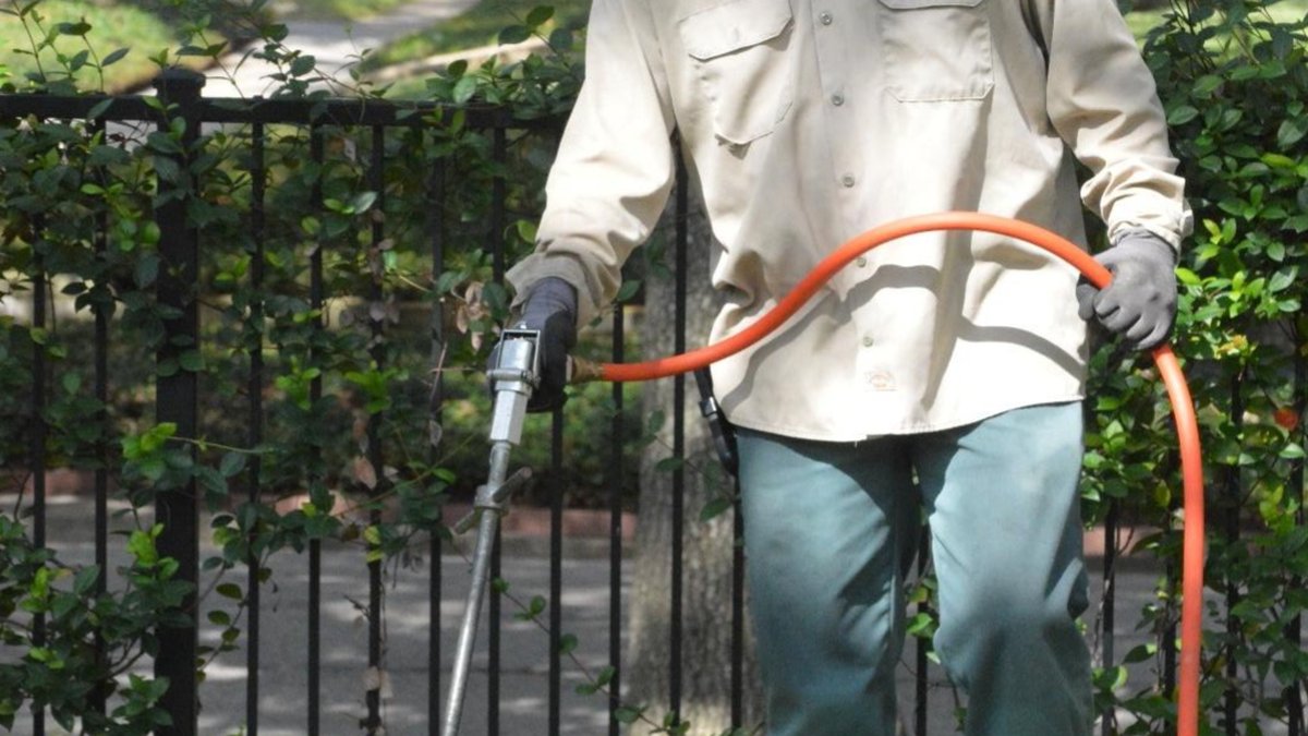 Houston Deep Root Fertilization For Large Shade Trees: Guide Announced