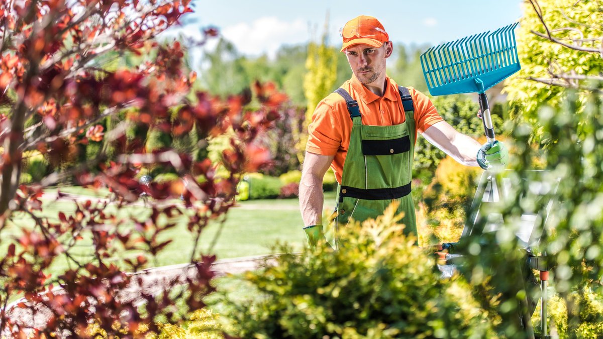 How to Improve AI Search Visibility: What Works for Landscaping Firms in 2026