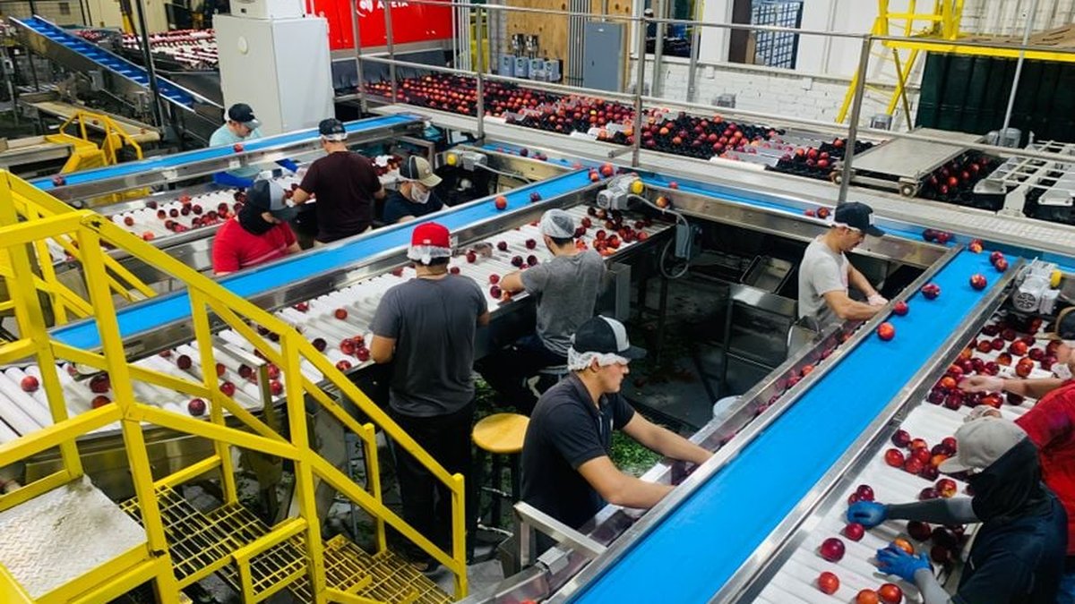 Pest Control In Food Facilities: NC Experts Explain Compliance Requirements
