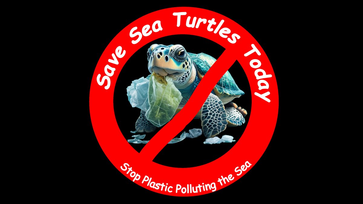 Plastic Threat to Sea Turtles Puts Ever Wonder Adventure Campaign in a Spotlight