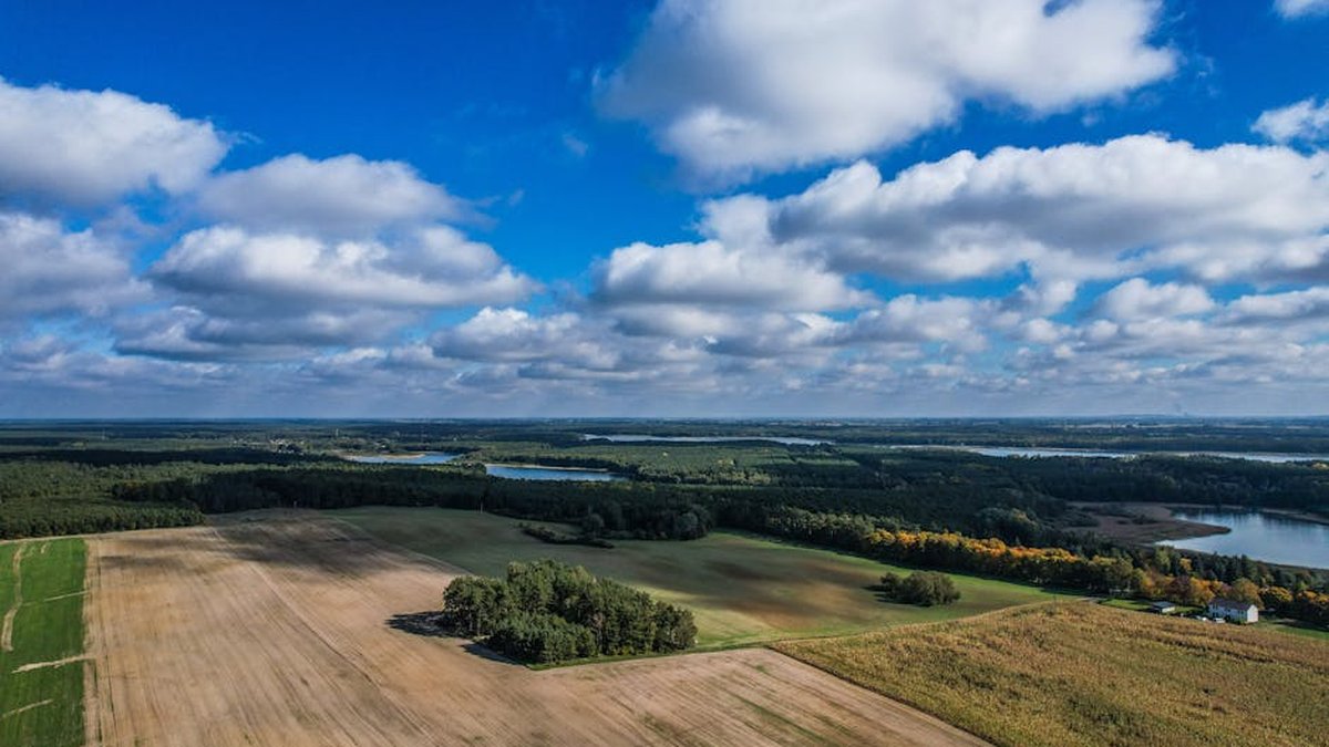 Selling Vacant Land: How To Get A Fair Cash Offer & Find The Right Buyer