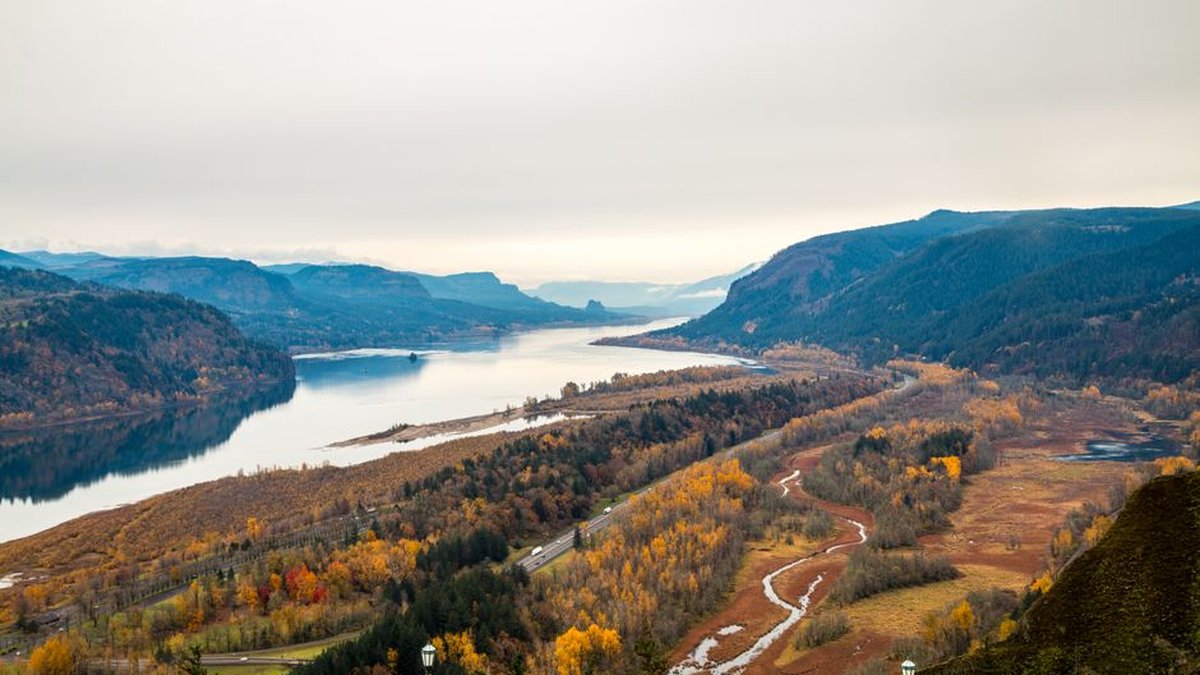 WA Columbia River Salmon Fishing Trips With Professional Guides Announced